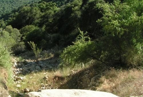 Mission Canyon Rancho Oso Cottage 12 מראה חיצוני תמונה